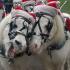 Lebanon Carriage Parade